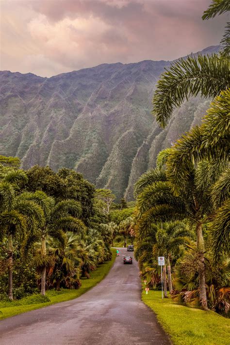 Botanical Garden Oahu Hawaii | Fasci Garden