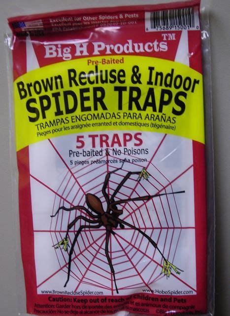 Brown Recluse Spider Traps - Effective & Safe - 5 Traps