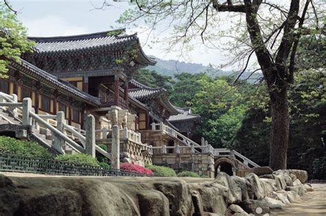 Gyeongju National Park | 경주국립공원 : TRIPPOSE