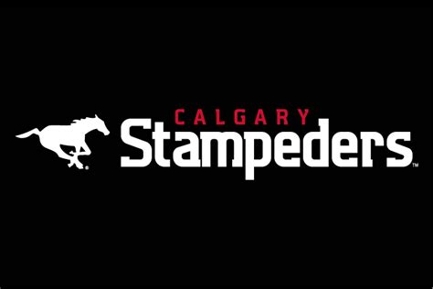 Calgary Stampeders Wordmark Logo - Canadian Football League (CFL ...