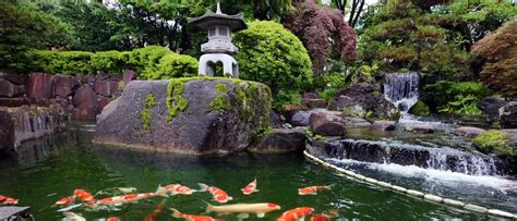 Japanese Koi Garden