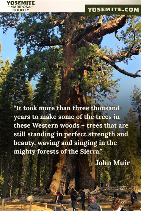 John Muir Yosemite Quotes - ShortQuotes.cc