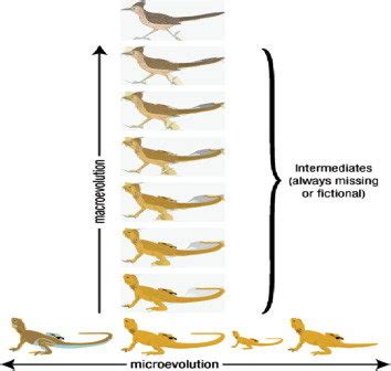 Macroevolution vs. Microevolution | Download Scientific Diagram