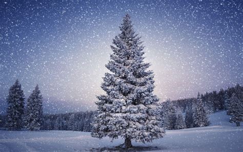 Snowy Christmas Night Wallpapers - Top Free Snowy Christmas Night Backgrounds - WallpaperAccess