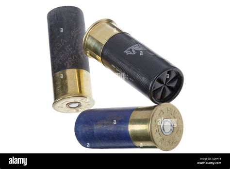 12 bore Shotgun cartridge by Hull Shot in plastic and brass casing ...