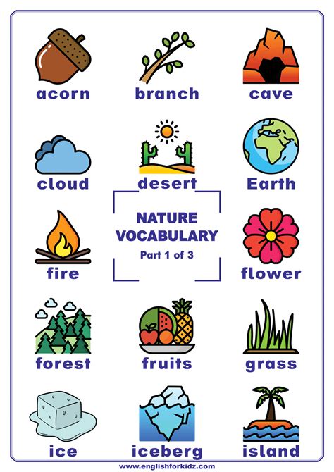 Vocabulary Pictures For Kids