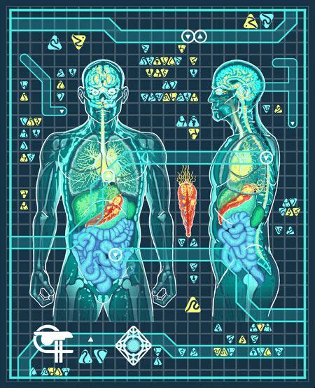 FIRST LOOK: Trill Symbiont In A Host Body | Film star trek, Star trek characters, Star trek ds9