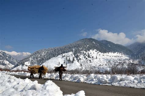 Mesmerising photos of fresh snowfall in Jammu and Kashmir- Mumbai Mirror