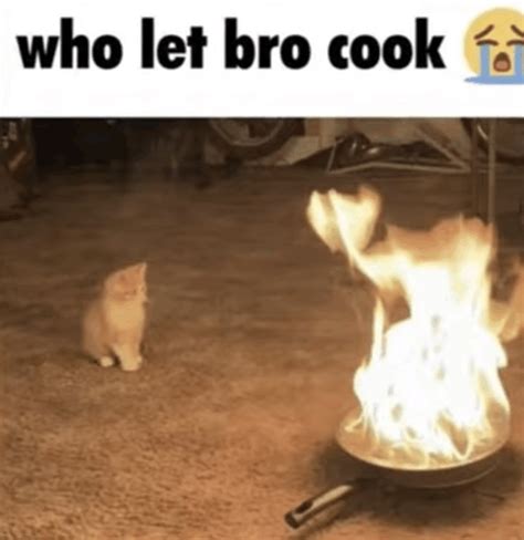 Who Let Bro Cook GIF - Who let bro cook - Discover & Share GIFs