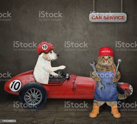 Cat Mechanic Fixing Red Sports Car Stock Photo - Download Image Now - Car, Repairing, Domestic ...