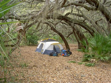 Stafford Beach Campground, Cumberland Island National Seashore Places Ive Been, Places To Go ...