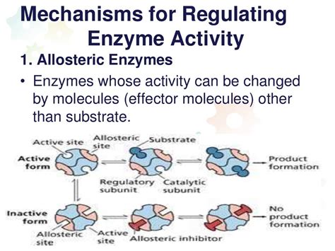 Regulation of enzyme activity