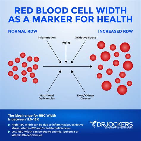 Top 12 Inflammatory Lab Markers and Optimal Ranges