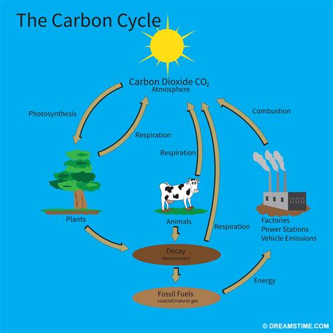 Climate Change Causes - Revolution