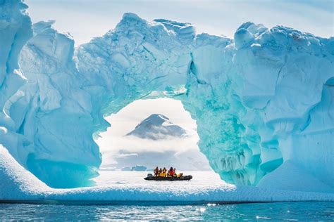 25 Wild Photos That Will Convince You To Visit Antarctica • Expert Vagabond