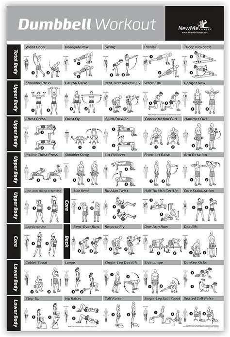 Vive Dumbbell Exercise Poster Home Gym Workout For Upper, Lower, Full ...