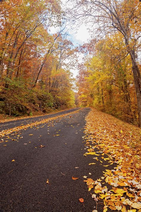 Autumn Country Road Photograph by Tony Colvin - Fine Art America