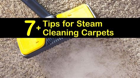 7+ Tips for Steam Cleaning Carpets