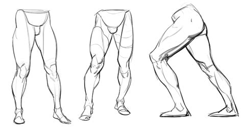 ArtStation - How to TB draw legs ( tips) | Tutorials | Human anatomy drawing, Anatomy drawing ...