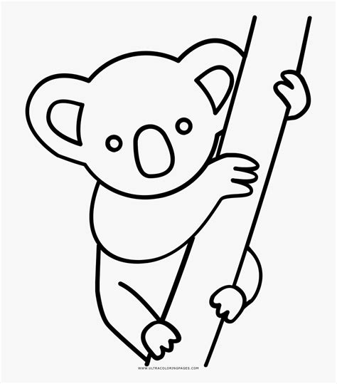 Koala clipart colour, Koala colour Transparent FREE for download on WebStockReview 2023