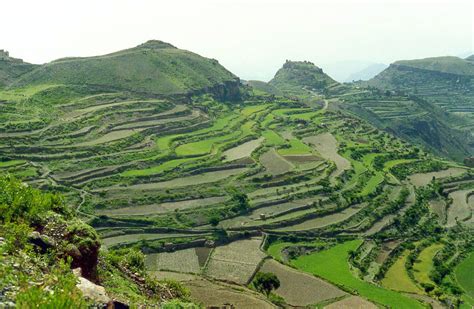 Near Sumara Pass, Ibb Yemen 31st May 1993 | Near Ibb en rout… | Flickr