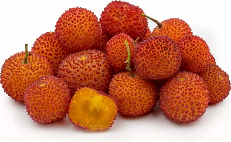 The fruit of the Strawberry tree is distinguished by its globular shape and rough-textured skin ...