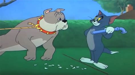 Where to watch tom and jerry episodes - ultraretail