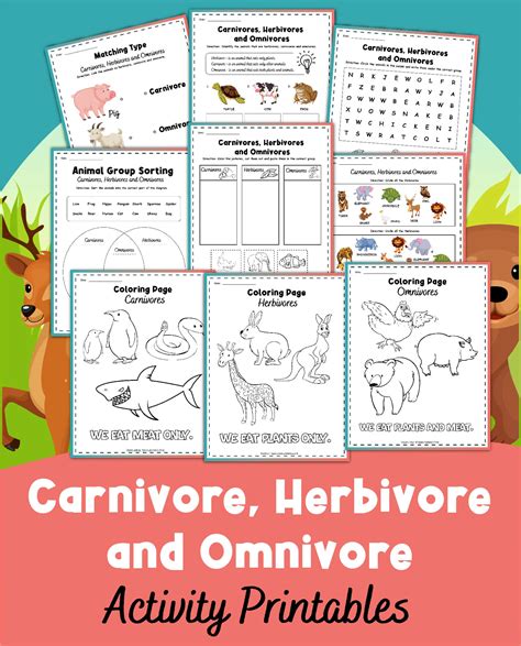 Carnivore Herbivore Omnivore Worksheets