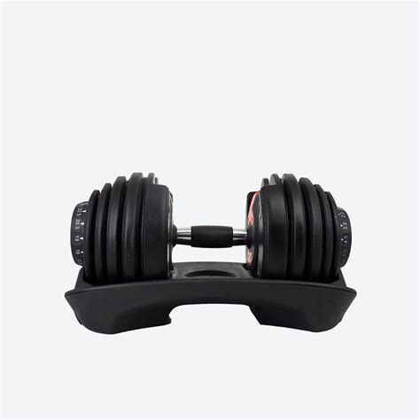 Hex Dumbbell Weights – Reglair