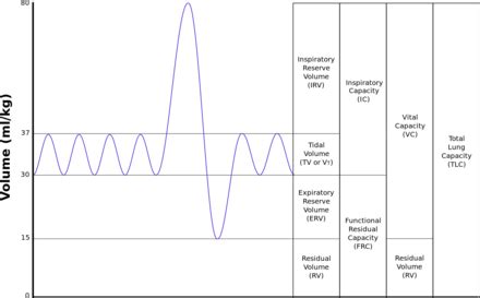 Spirometry - Wikiwand