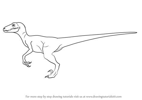 How to Draw a Velociraptor (Dinosaurs) Step by Step ...