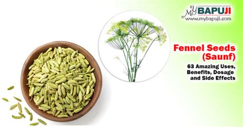 Alum (Fitkari): 96 Amazing Health Benefits, Uses, Dosage And Side Effects – MyBapuji