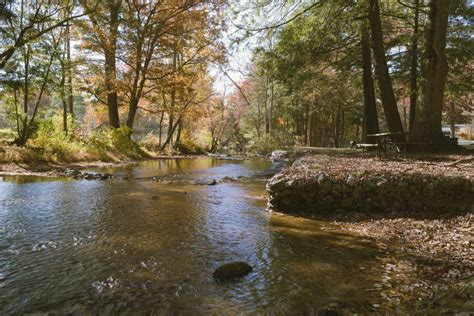 Fall Beauties from CALEDONIA STATE PARK in Pennsylvania, USA – Coach BJ