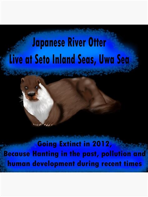 "Japanese River Otter" Poster for Sale by wolfmon99 | Redbubble