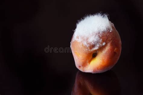 Spoiled Fruit Stock Photos - Download 2,806 Royalty Free Photos