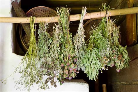 How to Dry Fresh Garden Herbs - Make House Cool