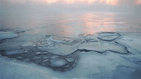 10-Year Countdown: Climate Change Could Cause Arctic Sea Ice To Vanish by 2030s