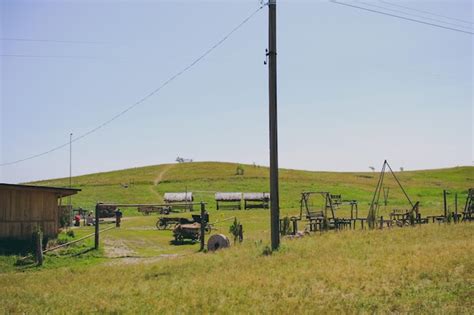 Premium Photo | Farming in the field