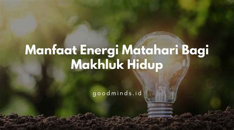 11 Manfaat Energi Matahari bagi Makhluk Hidup | GOODMINDS.ID