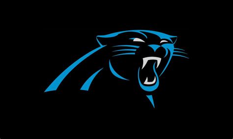 Carolina Panthers Logo Design – History, Meaning and Evolution | Turbologo