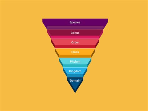 Taxonomic Classification: From Domain to Species - Earth How