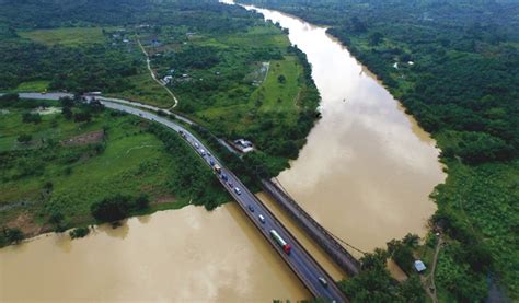 Galamsey: Scientists advise Ghana to plant marijuana alongside river to ...