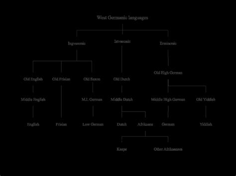 2: West Germanic language family tree (adapted from Biberauer 2019b: 3) | Download Scientific ...