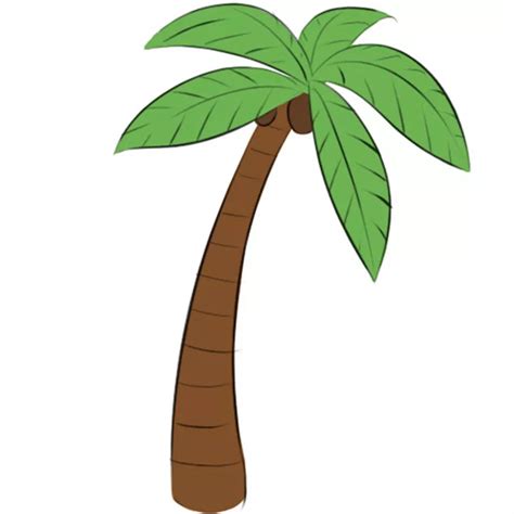 Palm Tree Leaves Drawing Outline ~ Palm Coloring Leaf Tree Branch ...