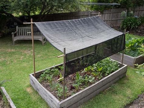 an outdoor garden area with raised beds and plants