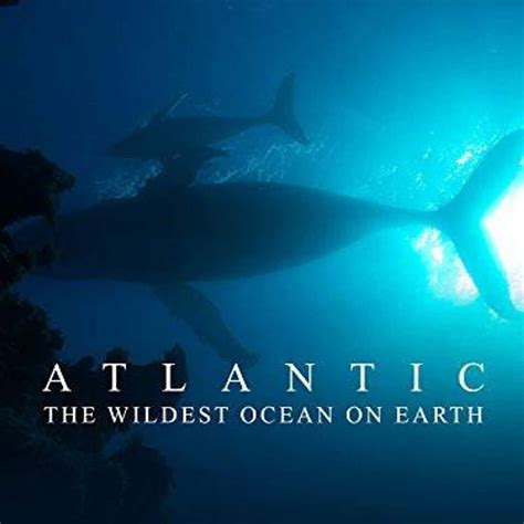 The 30 Best Underwater & Deep Sea Documentaries, Ranked By Fans