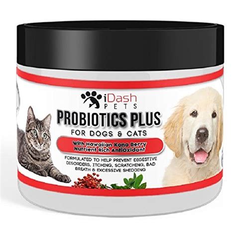 Best Cat Probiotics – [Detailed Guide and Reviews] - A Cat Breeds Blog