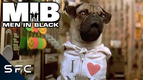 Men In Black | Frank The Pug! | Complete Scene | Will Smith | Tommy Lee Jones - YouTube