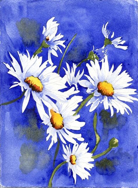 (Watercolor) Daisies. Floral Watercolor Paintings, Daisy Painting, Watercolor Pictures, Flower ...