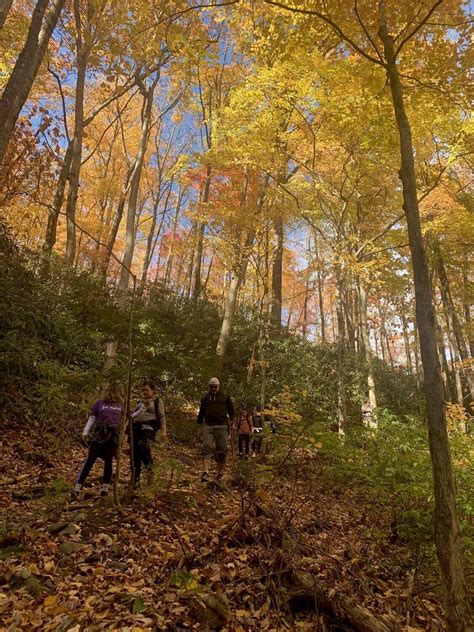 Smoky Mountains Fall Colors / October 25 - 29, 2023